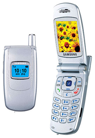Samsung SGH-S500 Reparatur
