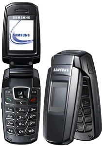 Samsung SGH-X300 Reparatur