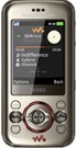Sonyericsson W395 Reparatur