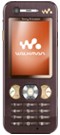 Sonyericsson W890i Reparatur